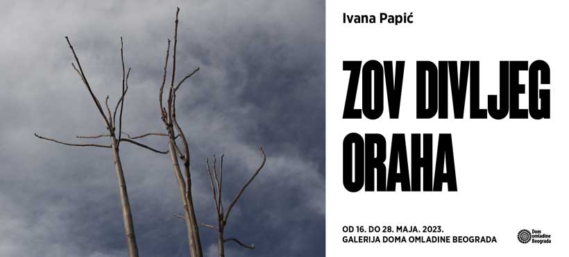 Izložba „Zov divljeg oraha” Ivane Papić